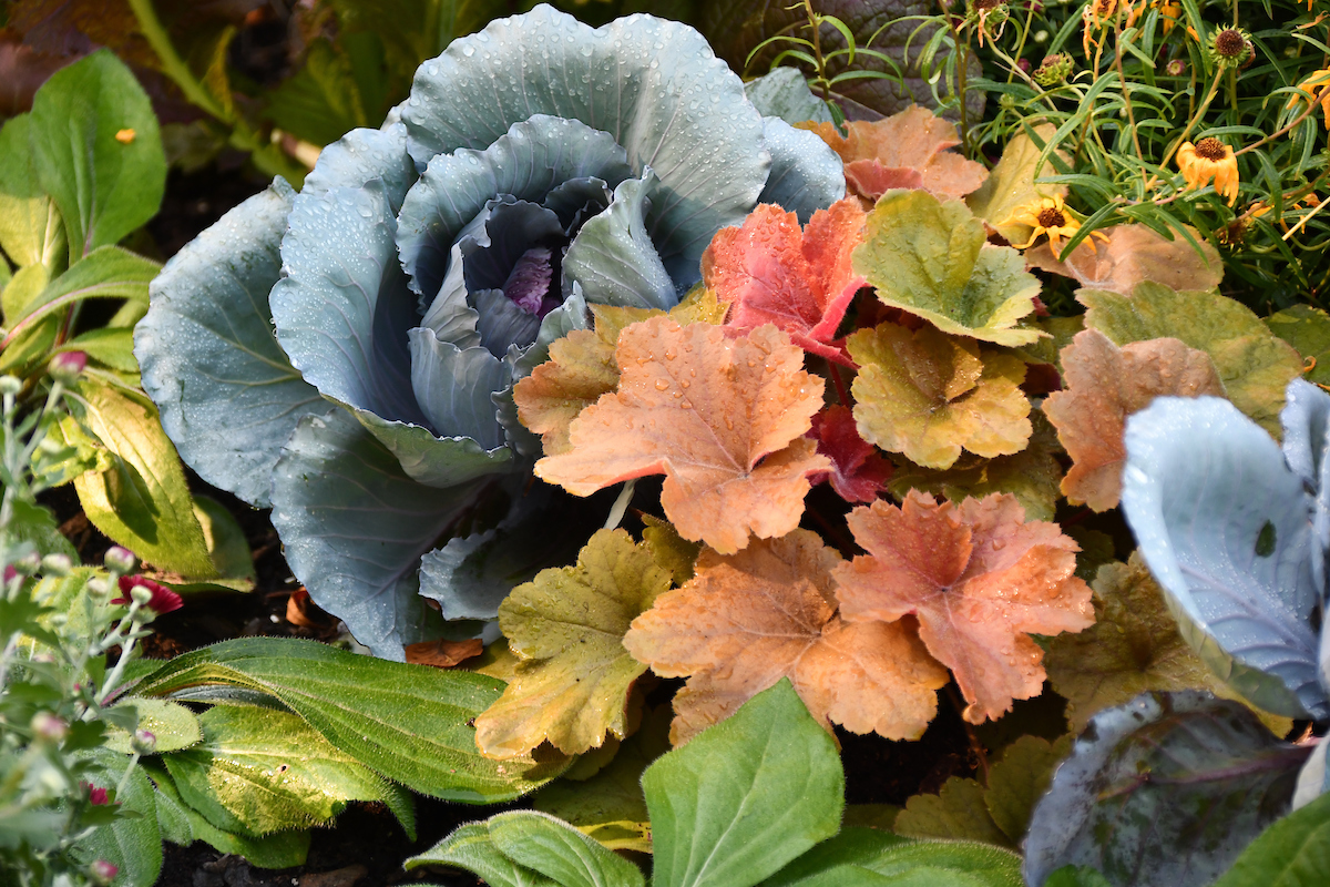 Gardening by Month October